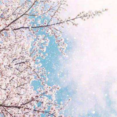 爱游戏全站APP入口苹果版手机app下载