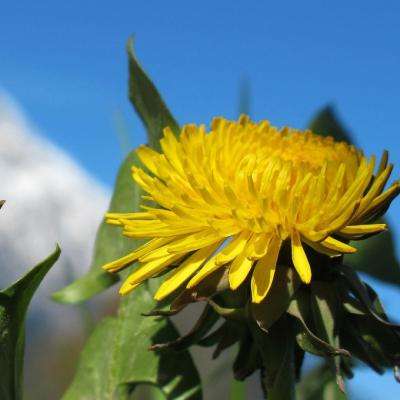 澳门新莆京游戏