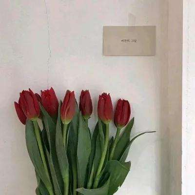 NG体育·(南宫)官方网站